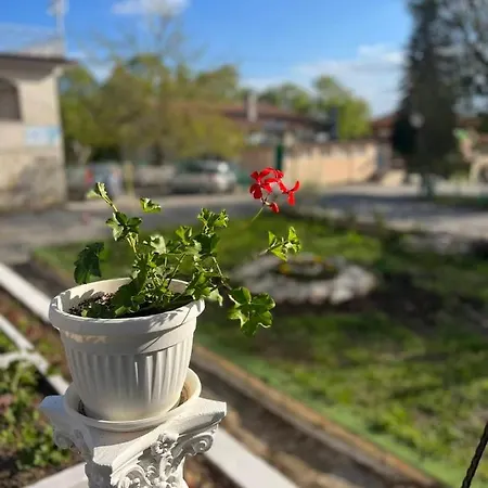 диамант Diamond Hotel 3*