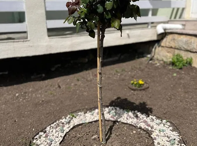 диамант Diamond Ξενοδοχείο