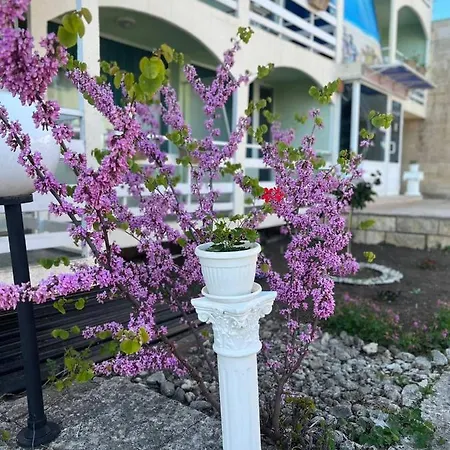 диамант Diamond