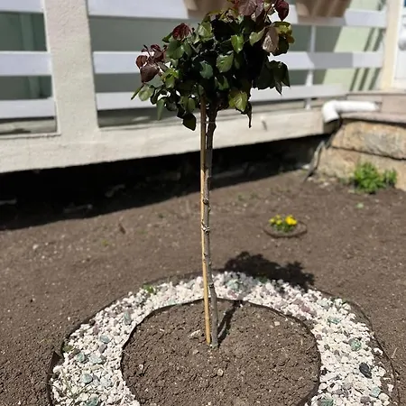 диамант Diamond מלון