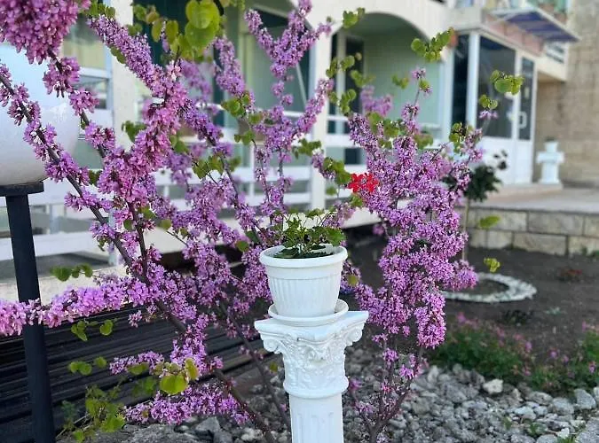 диамант Diamond