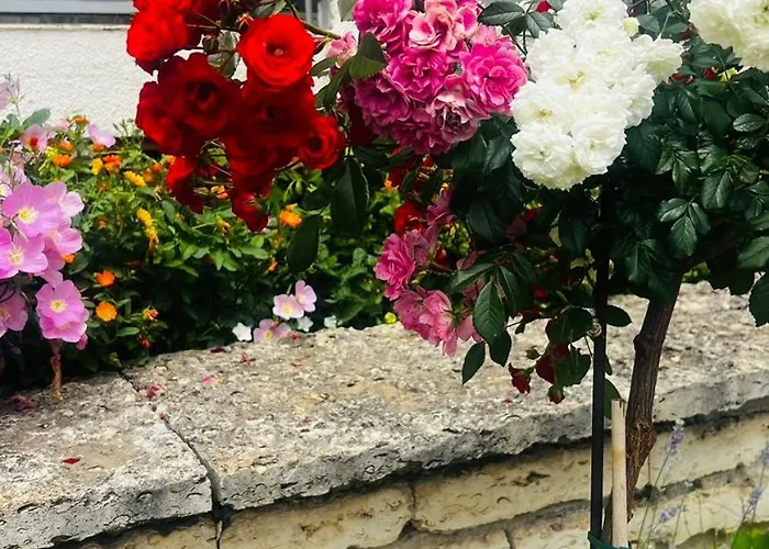 диамант Diamond 3*